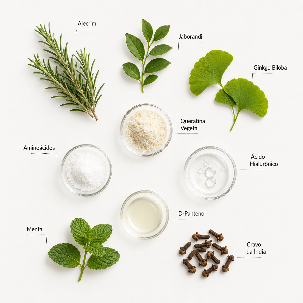 ingredientes t&ocirc;nico fortalecedor cafe&iacute;na alecrim 